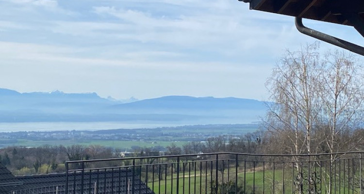 Villa Jumelle avec vue sur le Mont Blanc et le Lac image 8