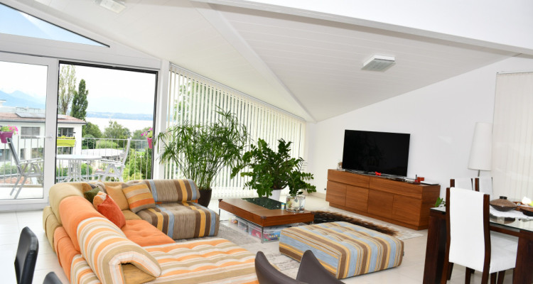 Mies DupC: Appartement duplex avec superbe vue sur le lac image 1