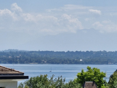 Mies DupC: Appartement duplex avec superbe vue sur le lac image 1