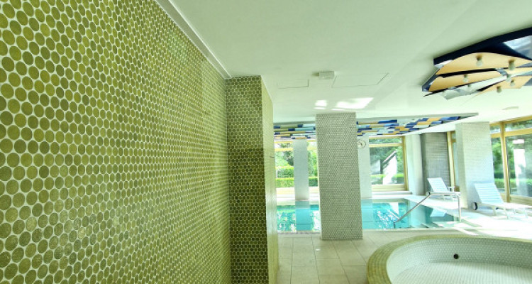 Elegant 4 room Apt, fully renovated luxury residence indoor pool jacuzzi Cologny image 12