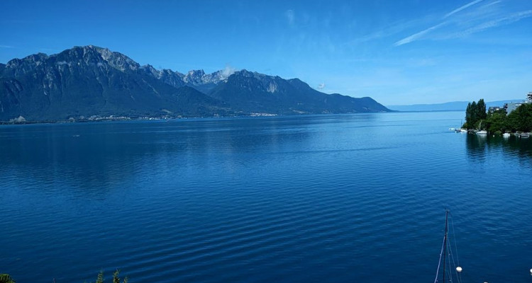 🌟Magnifique Appartement avec Vue Panoramique à Montreux 🌟 image 10