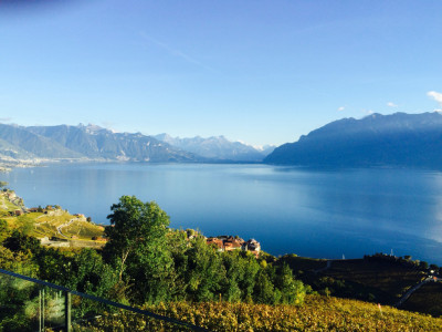 Maison de maître avec vue imprenable sur le lac (VD-CH) image 1