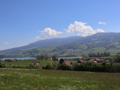 Bâtiment de rendement dans une région économique en plein essor !  image 1