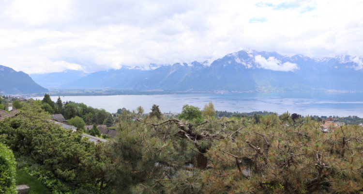 Chalet avec du cachet et une vue sur le Lac et les Montagnes !  image 3