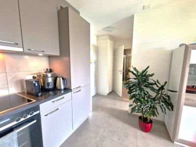 Appartement de 2,5 pièces Minergie, lumineux, belle vue dégagée  image 1