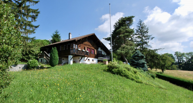 Terrain avec charmant chalet implanté sur un terrain constructible de 1913m2 image 3