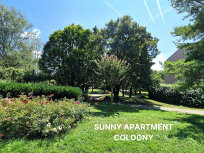 Exclusive Sale: Sunny apartment, Cologny image 1