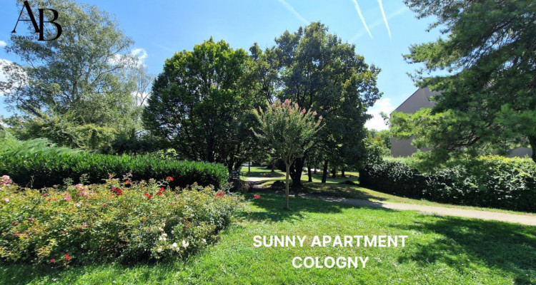 Exclusive Sale: Sunny apartment, Cologny image 1