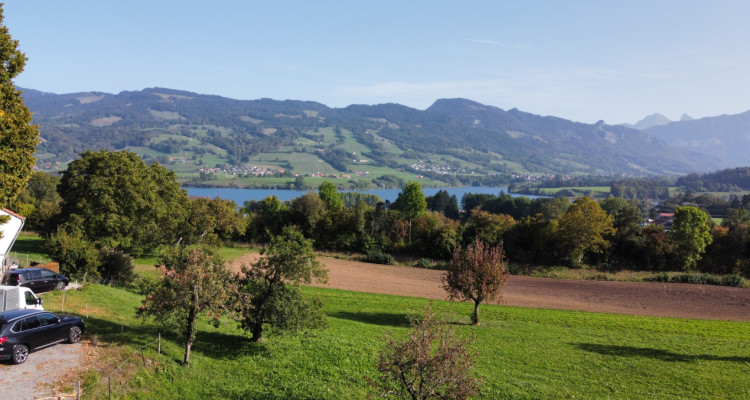 Gumefens - Superbe Villa Moderne avec Vue Panoramique à Vendre image 12