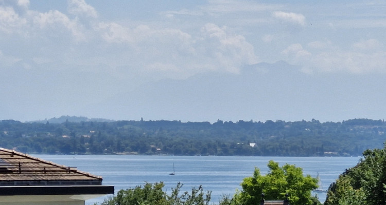 Mies DupC: Appartement duplex avec superbe vue sur le lac image 1