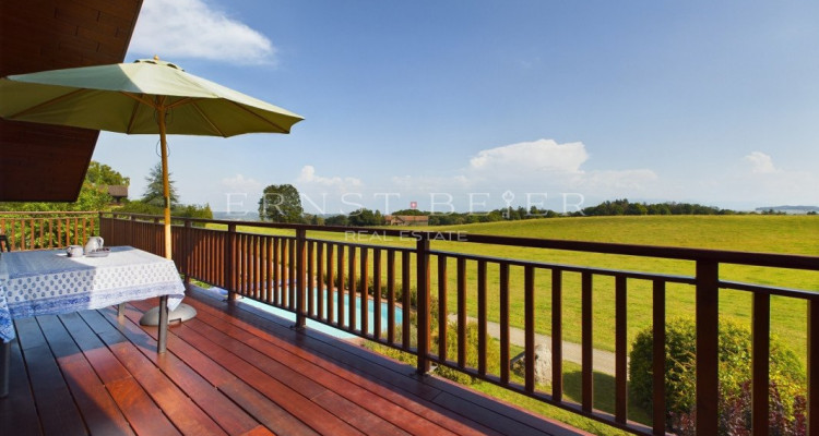 Magnifique villa avec vue panoramique sur les Alpes - Proche dAubonne image 3