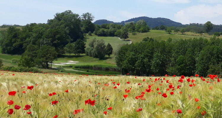 Für Investoren! Herrliches Golfgrundstück 35595m, hoch bewertet image 2