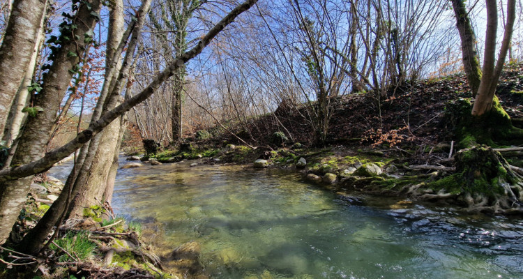 La merveilleuse maison familiale à côté de la forêt  Vich image 7