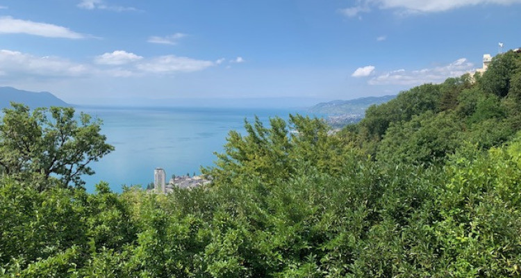 🏡 Appartement à Glion : Vue Panoramique sur les Alpes et le Lac Léman 🌄 image 8