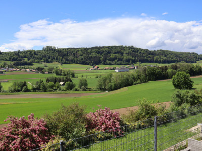 Superbe attique de 3.5 pièces avec piscine !  image 1