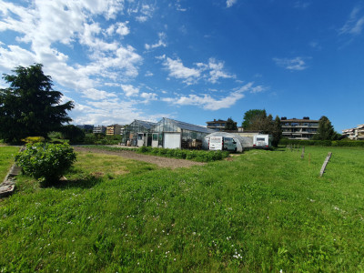 Préverenges , à louer surface zone agricole 6000 m2 avec ateleir et serres image 1