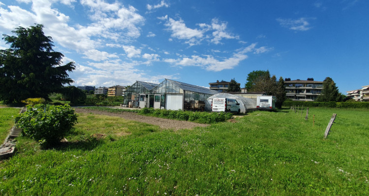 Préverenges , à louer surface zone agricole 6000 m2 avec ateleir et serres image 1