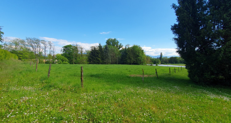 Préverenges , à louer surface zone agricole 6000 m2 avec ateleir et serres image 2