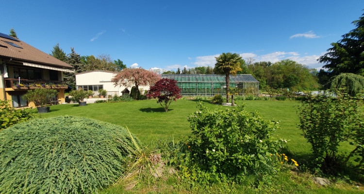 Préverenges , à louer surface zone agricole 6000 m2 avec ateleir et serres image 7