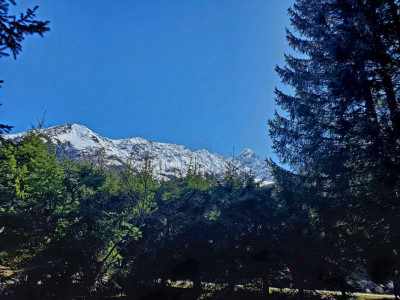 Chalet de Charme au pied des pistes image 11