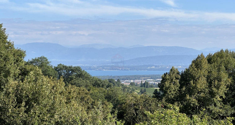 Superbe Maison Familiale de 9.5 Pièces à Bassins avec Vue Panoramique sur le Lac et les Alpes image 2