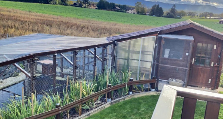 MAISON AVEC PISCINE EN VIAGER OCCUPE SANS RENTE image 6