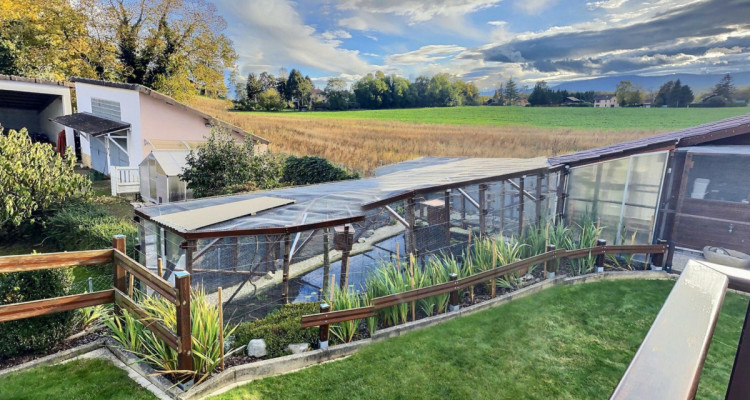 MAISON AVEC PISCINE EN VIAGER OCCUPE SANS RENTE image 8