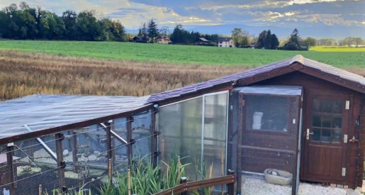 MAISON AVEC PISCINE EN VIAGER OCCUPE SANS RENTE image 9