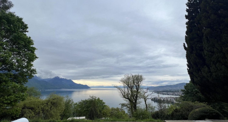 UNIQUE!! Maison avec vue imprenable sur le Lac Léman en viager occupé sans rente image 4