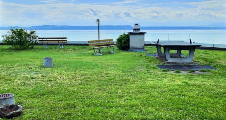 Appartement en viager occupé sans rente avec vue panoramique sur le Lac image 3