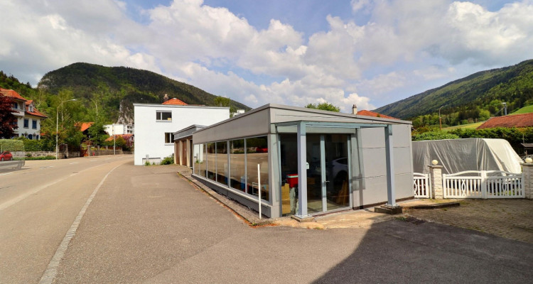 Magnifique maison avec piscine en viager occupé sans rente image 4