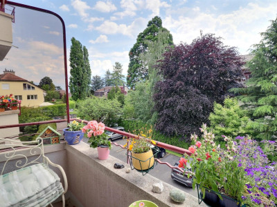 Magnifique appartement au calme en viager occupé sans rente image 1