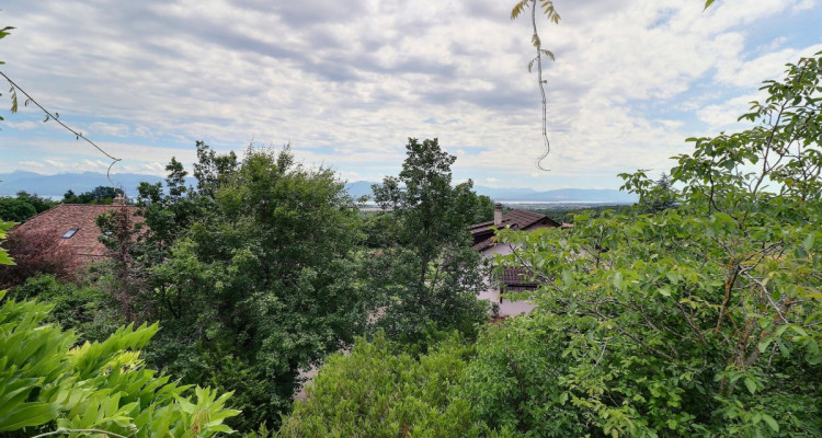 Chalet en viager occupé sans rente limité à 8 ans -Vue Lac et montagne image 1