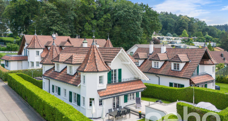 Luxuriöses Einfamilienhaus in Oetwil an der Limmat image 3