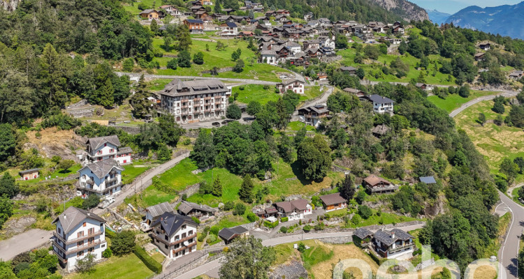 Unique : terrain à bâtir avec vue et accès facilité à Salvan image 1