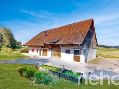 Immense! Ferme rénovée avec rural dans un cadre verdoyant image 1