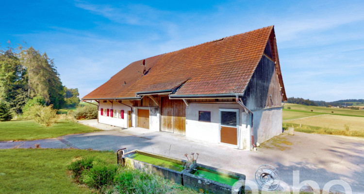 Immense! Ferme rénovée avec rural dans un cadre verdoyant image 1