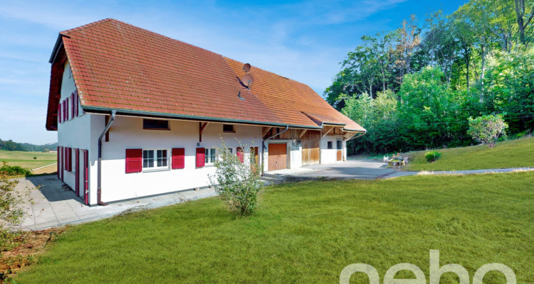 Immense! Ferme rénovée avec rural dans un cadre verdoyant image 2