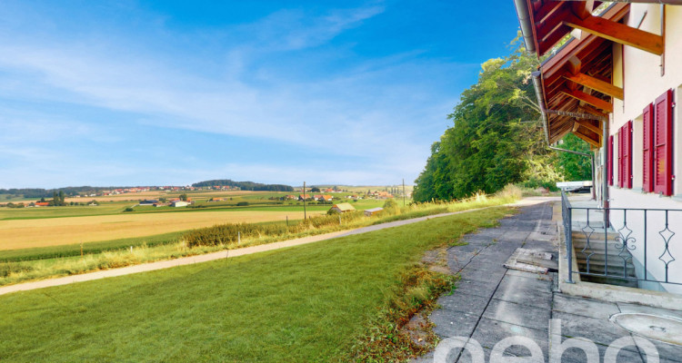 Immense! Ferme rénovée avec rural dans un cadre verdoyant image 3