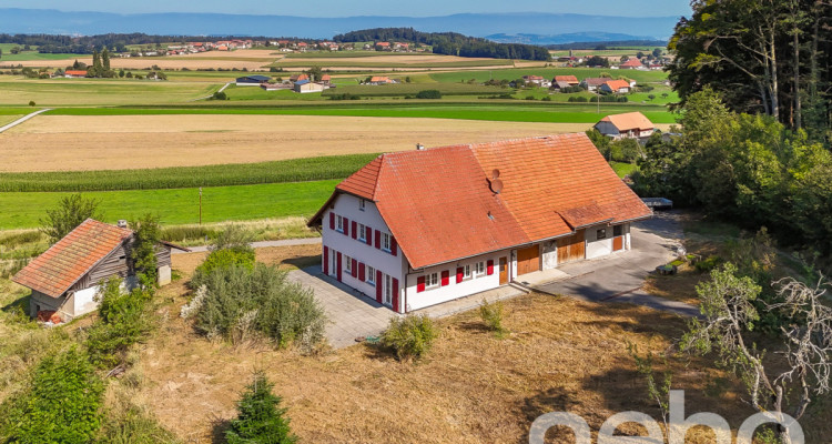 Immense! Ferme rénovée avec rural dans un cadre verdoyant image 5