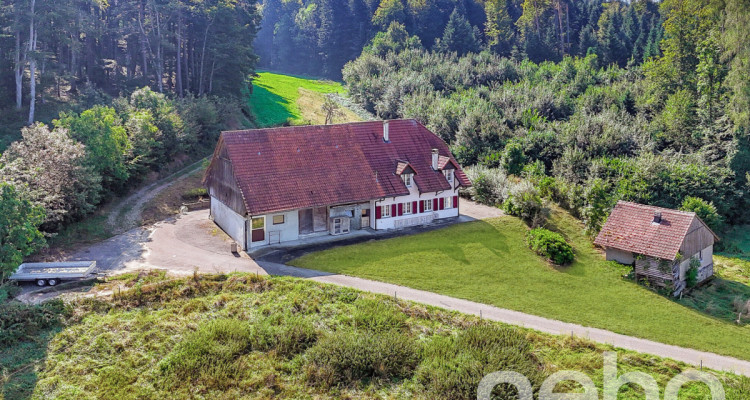 Immense! Ferme rénovée avec rural dans un cadre verdoyant image 12