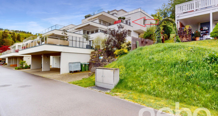 Ihre neue Terrassenwohnung mit fantastischer Aussicht in Bad Zurzach image 2