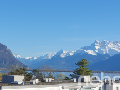 Exclusif: Appartement de 2 pièces en attique avec une belle vue image 1