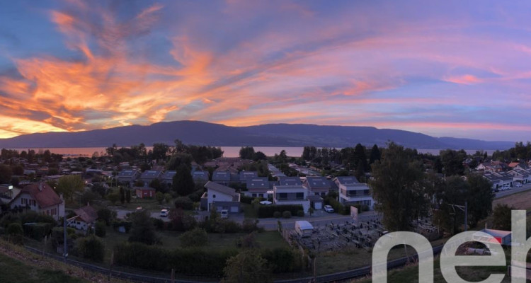 Appartement de 3,5 pces avec terrasse et vue sur le lac ! image 3