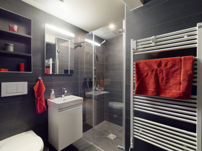 Propriété de standing -  chalet de 2 appartements à Leysin image 8