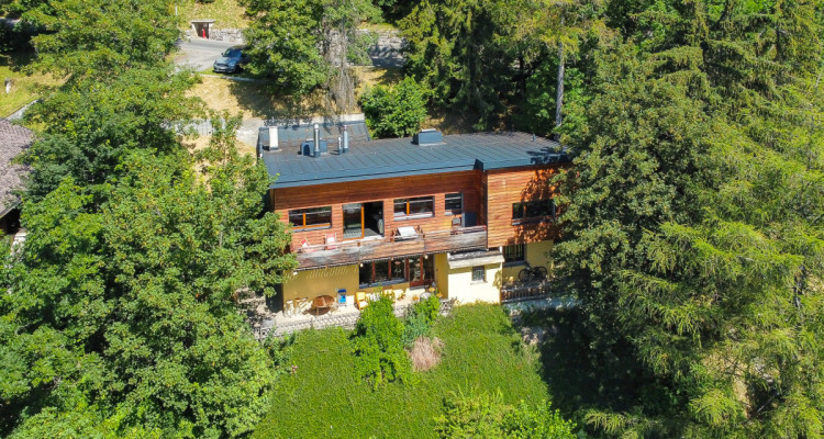 Propriété de standing -  chalet de 2 appartements à Leysin image 1