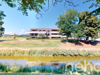 Appartement avec sous-sol et jardin privatif ! image 1