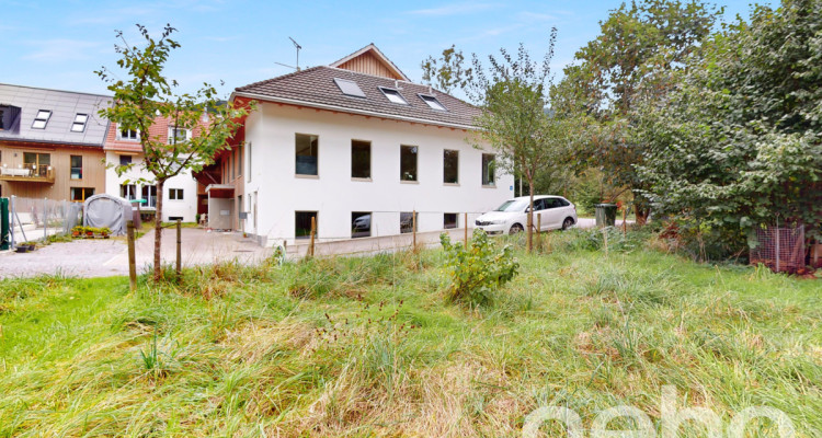 Helles und modernes Eckreihenhaus mit Gartenoase in Stallikon image 3