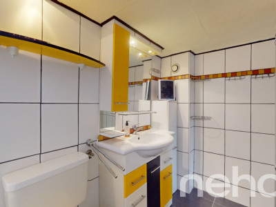 Exclusif: Appartement de vacances et raccard à Daillon VS image 7