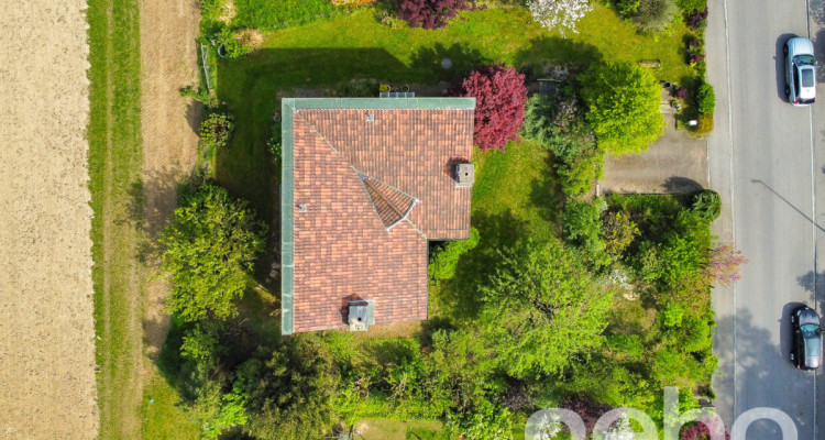 Entdecken Sie Ihr Traumhaus am Rande der Bauzone in Riehen image 7